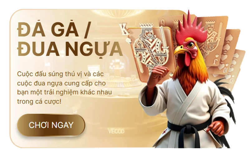 bn da ga dua ngua tc df999top