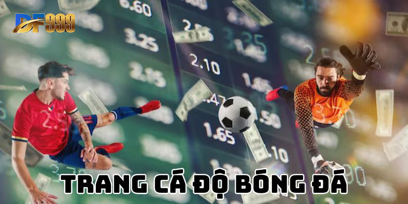 Vài thông tin sơ lược về trang cá độ bóng đá DF999